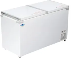 Roch Chest Freezer RCF-550-G